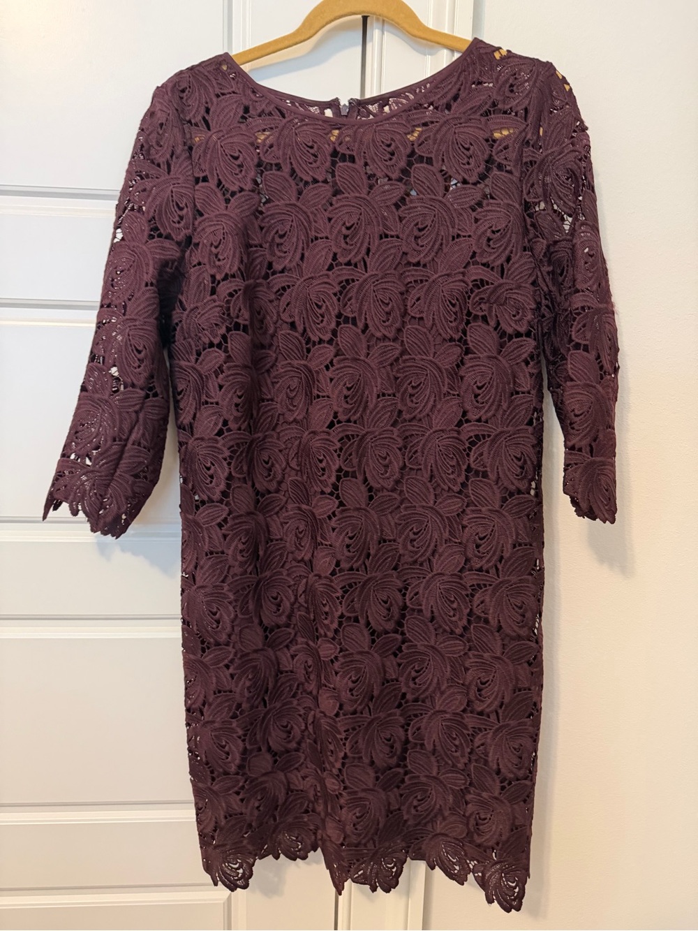 Loft Womenโs Lace Shift Dress in Plum